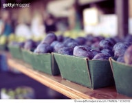 92342002 | 게티이미지코리아 | Purple Plums Royalty-Free 이미지
