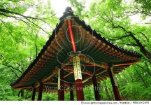 MBIA1002492 | 게티이미지코리아 | Rights-Managed 이미지