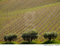 125884468 | 게티이미지코리아 | Order Royalty-Free 이미지