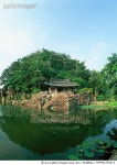 돼지게티 경북문경점 | MHMA1200015 | 게티이미지코리아 | 경북 문경 Rights-Managed 이미지