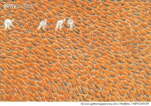 KAFK1200329 | 게티이미지코리아 | 제목 : 황토밭 (1997년)소재 : 장지,황토,백토,먹작품사이즈 : 1160 x 900(㎝) Rights-Managed 이미지