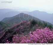 MIWD1200714 | 게티이미지코리아 | 화왕산, 경남 창녕 Rights-Managed 이미지