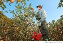 MIXA1201021 | 게티이미지코리아 | Rights-Managed 이미지