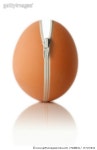 157191844 | 게티이미지코리아 | Zipped egg Royalty-Free 이미지