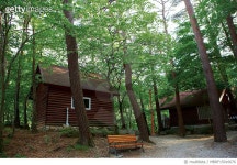 MBRF15016676 | 게티이미지코리아 | 대관령자연휴양림, 강원 강릉 Royalty-Free 이미지