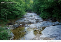 MBRF15016681 | 게티이미지코리아 | 대관령자연휴양림, 강원 강릉 Royalty-Free 이미지