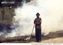 MISSISSIPPI: RURAL MAN. /nA man burning leaves near Vicksburg, Mississippi. Photographed c1974. Rights-Managed 이미지