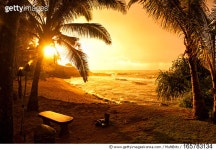 165783134 | 게티이미지코리아 | An orange sunset framed by palm trees on the beach Royalty-Free 이미지