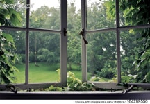 164299550 | 게티이미지코리아 | Vines around an old ajar window Royalty-Free 이미지