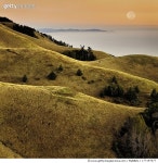 177197677 | 게티이미지코리아 | Rolling Hills Marin County Royalty-Free 이미지