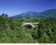 MKAD13057130 | 게티이미지코리아 | Rights-Managed 이미지