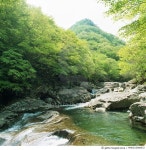 MIWD13000672 | 게티이미지코리아 | 설악산 십이선녀계곡 Rights-Managed 이미지