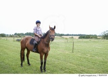 504051529 | 게티이미지코리아 | Young woman riding horse in paddock. Royalty-Free 이미지