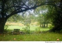 507977455 | 게티이미지코리아 | Soft misty morning in the country Royalty-Free 이미지