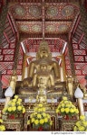 521066691 | 게티이미지코리아 | Buddhas in a Chiang Mai Temple Royalty-Free 이미지