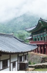 돼지게티 경북문경점 | MAGA14000040 | 게티이미지코리아 | 김용사, 경북 문경시 Rights-Managed 이미지