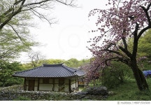MBRF15015849 | 게티이미지코리아 | 충남 서산 개심사 Royalty-Free 이미지