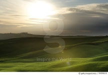 롤링디(Rolling.D) | 559556315 | 게티이미지코리아 | Italy, Tuscany, Val d'Orcia, rolling landscape at backlight Royalty-Free 이미지