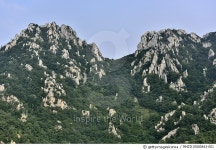 Foto aus Naver-Suchergebnissen 4