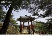 한국인삼방16호 | MBRF15016276 | 게티이미지코리아 | 한국, 경북, 예천, 회룡포(명승16호) Royalty-Free 이미지