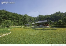 MBRF15016409 | 게티이미지코리아 | 경북 울진 부령사 Royalty-Free 이미지