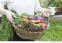 591213227 | 게티이미지코리아 | Man holding basket with mixed vegetables Royalty-Free 이미지