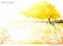 ITTEM15009434 | 게티이미지코리아 | autumn illust Royalty-Free 이미지