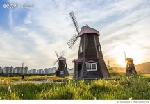 MIND15000326 | 게티이미지코리아 | 소래습지생태공원 Rights-Managed 이미지