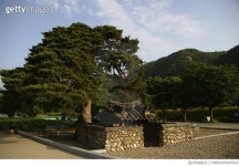 MAHA16000014 | 게티이미지코리아 | 울진 행곡리 처진 소나무 Rights-Managed 이미지