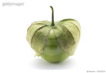 503528274 | 게티이미지코리아 | Unpeeled Tomatillo on White Royalty-Free 이미지