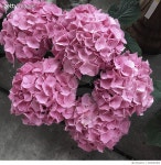 626691865 | 게티이미지코리아 | Color Stories - Pastels Royalty-Free 이미지