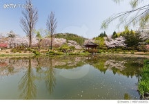 MBRF16008554 | 게티이미지코리아 | 보문정 Royalty-Free 이미지