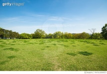 MVFA16000053 | 게티이미지코리아 | 경주 월성 산책로 Rights-Managed 이미지