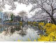 MMVA16000037 | 게티이미지코리아 | 김천 연화지 Rights-Managed 이미지