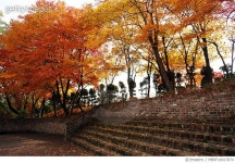 MBRF16017874 | 게티이미지코리아 | 경기도 고양시 벽제 중남미문화원 Royalty-Free 이미지