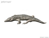 678826827 | 게티이미지코리아 | Chroniosuchus is an extinct animal from the Paleozoic Era. Royalty-Free 이미지