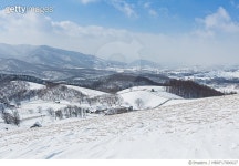 MBRF17000027 | 게티이미지코리아 | 강원도 대관령의 겨울 양떼목장 Royalty-Free 이미지