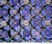 MIWA17000192 | 게티이미지코리아 | 충남 논산시 양촌면 중산길(쌍계사대웅전및삼존불보물408호) Rights-Managed 이미지