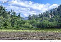 646787952 | 게티이미지코리아 | Organic Farm with Trees and Clouds in Background Royalty-Free 이미지