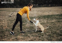 649359158 | 게티이미지코리아 | Give me your paw, good boy Royalty-Free 이미지