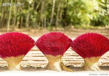 660556588 | 게티이미지코리아 | Incense stick, drying in the sun in Hue city (vietnam) Royalty-Free 이미지