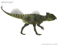 730138241 | 게티이미지코리아 | Side profile of an Archaeoceratops dinosaur. Royalty-Free 이미지