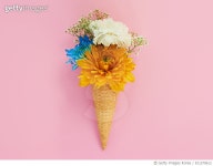 811279612 | 게티이미지코리아 | Be creative with your centerpieces Royalty-Free 이미지