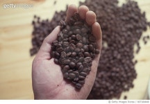 807184848 | 게티이미지코리아 | barista hand holding roasted african coffee seed with espresso cup Royalty-Free 이미지