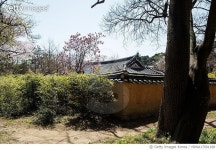 MIWA17001188 | 게티이미지코리아 | 강원도 강릉시 난설현로 허난설현 생가 Rights-Managed 이미지