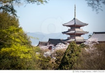 MBRF17012150 | 게티이미지코리아 | 청수사와 벚꽃 Royalty-Free 이미지