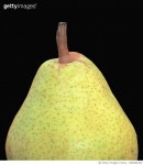 860892496 | 게티이미지코리아 | Single ripe pear against black background Royalty-Free 이미지