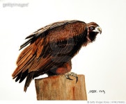 KFMK17000021 | 게티이미지코리아 | 박태규 Rights-Managed 이미지