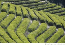 MBRF17019289 | 게티이미지코리아 | 배경,풍경 Royalty-Free 이미지