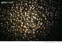 876851510 | 게티이미지코리아 | barista hand holding roasted african coffee seed with espresso cup Royalty-Free 이미지